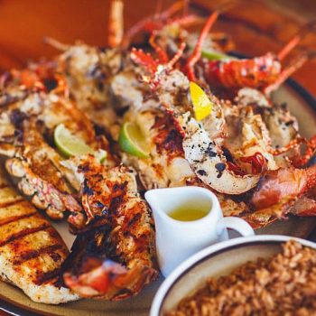 IMG-20240805-WA0073 IMG-20240805-WA0073